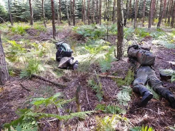 Zwei Personen in Tarnkleidung liegen im Unterholz zwischen Farnen