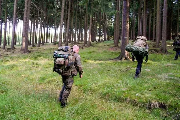 Zwei Personen mit Rucksäcken gehen durch einen Wald mit hohen Bäumen