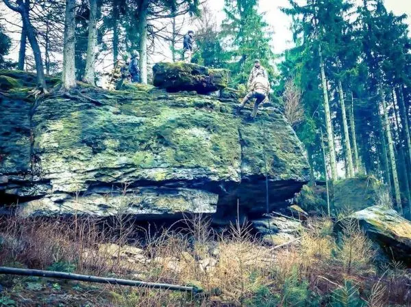 Personen klettern an einer Felswand in einem Waldgebiet