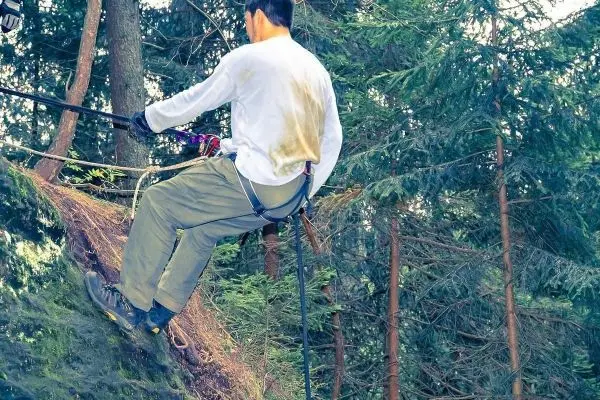 Abseilen an einem Baum mit Seil und Karabiner