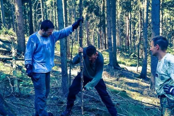 Drei Personen arbeiten gemeinsam an einem Holzstück im Wald
