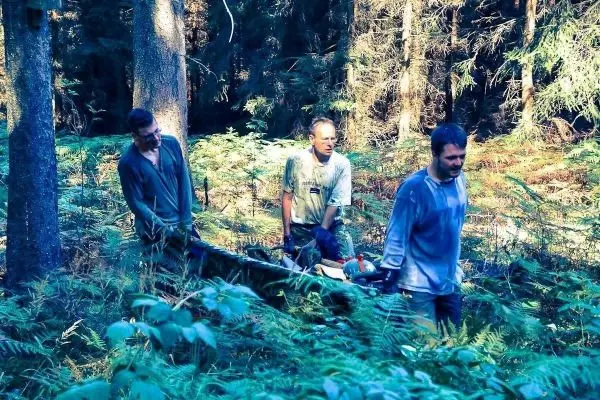 Drei Personen tragen eine improvisierte Trage durch einen Wald mit dichtem Unterholz