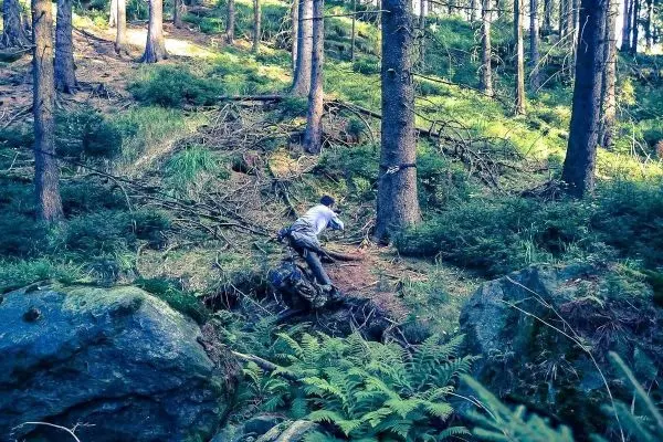 Person überquert einen kleinen Graben im Wald auf einem Baumstamm