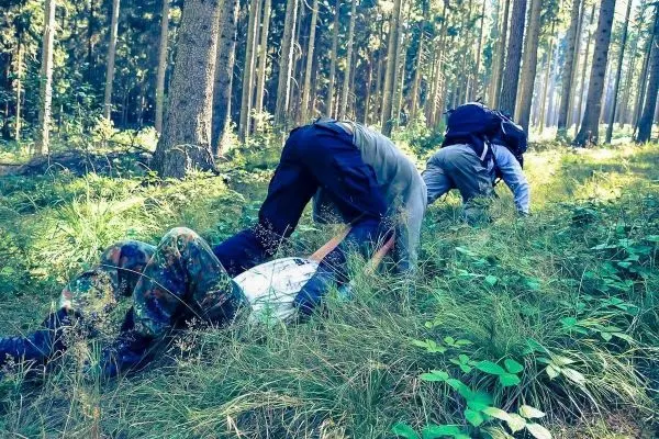 Personen kriechen durch hohes Gras im Wald beim Überlebenstraining
