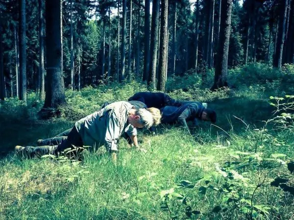 Drei Personen führen Liegestütze auf einer Wiese im Wald aus