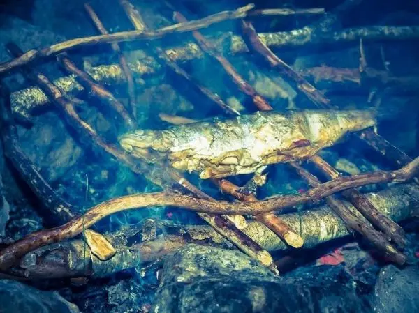Fisch wird über einem kleinen Feuer auf einem Holzrost gegart