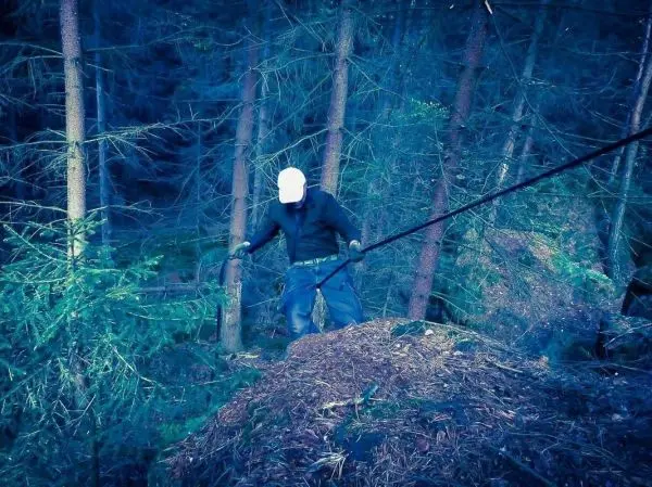 Mann überquert mit Seil eine Erhebung im Wald