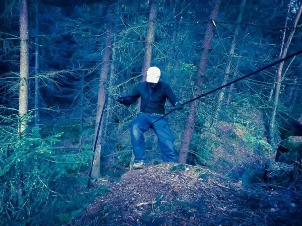Person balanciert auf einer selbstgebauten Seilbrücke zwischen Bäumen