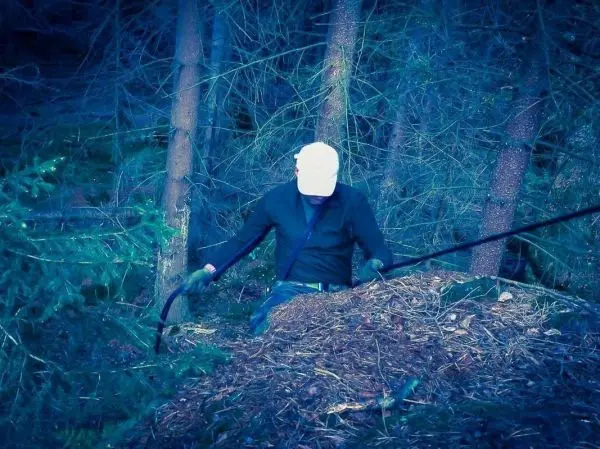 Person zieht ein Seil in einem bewaldeten Gebiet