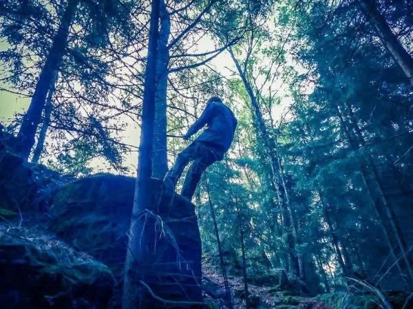 Seilquerung zwischen Baum und Felsen im Wald