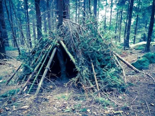 Selbstgebaute Tarp-Notunterkunft aus Ästen und Zweigen im Wald