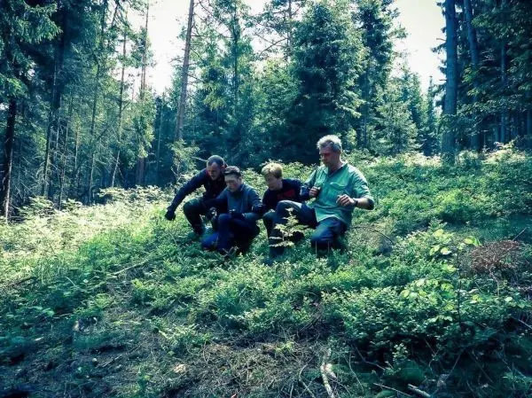 Vier Personen knien im Wald auf einer bewachsenen Fläche