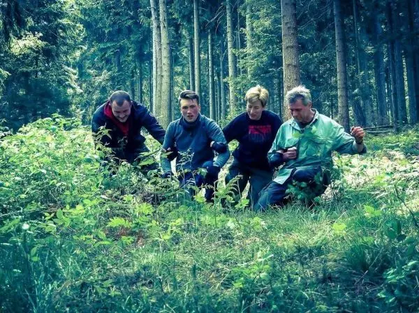 Vier Personen knien im Wald und untersuchen den Boden zwischen Pflanzen