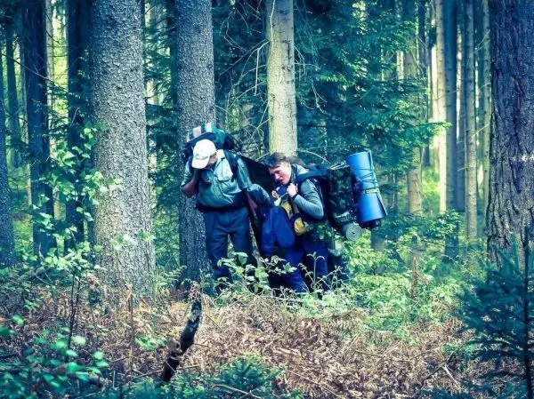 Zwei Wanderer tragen große Rucksäcke und bewegen sich durch einen Wald