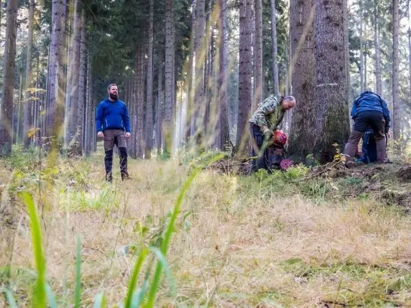 Drei Personen arbeiten im Wald, eine Person steht und beobachtet