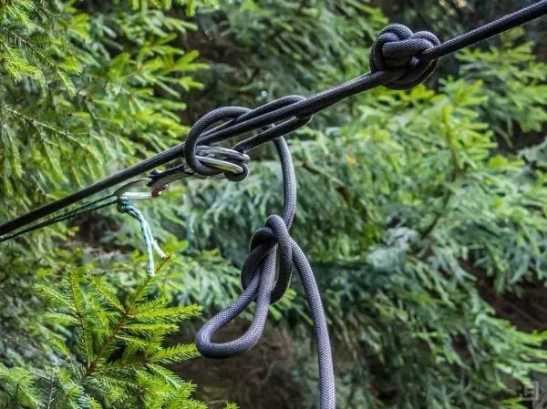 Schwarzes Seil mit Knoten und Karabiner an einem Baum befestigt