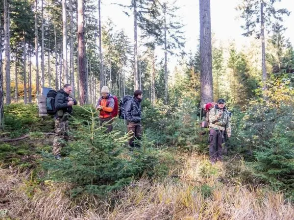 Vier Personen mit Rucksäcken stehen im Wald zwischen Bäumen und Sträuchern