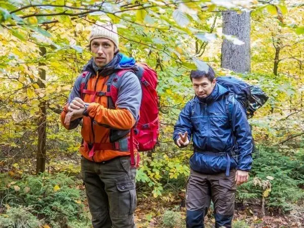 Zwei Wanderer mit Rucksäcken gehen durch einen herbstlichen Wald