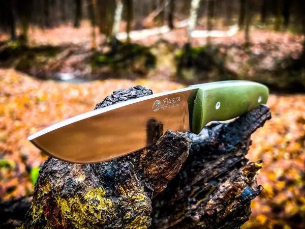 Klinge eines Messers auf einem verwitterten Holzstück im Wald