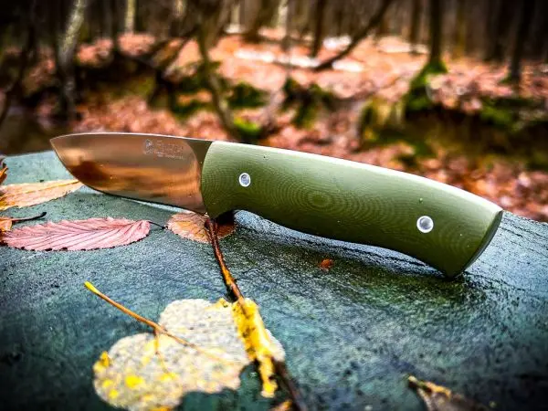 Klinge eines Messers mit grünem Griff auf einem moosbedeckten Baumstamm