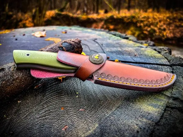 Messer mit grünem Griff und braunem Lederetui auf einem Baumstumpf