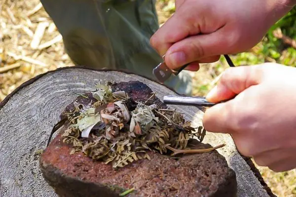 Feuerstahl erzeugt Funken auf Zunder aus Pflanzenmaterial