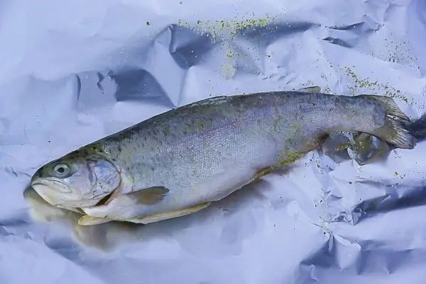 Fisch liegt auf Aluminiumfolie mit Gewürzen