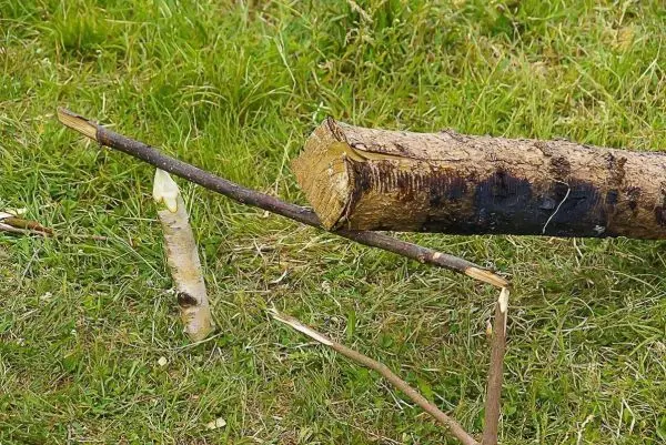 Holzstück mit Kerbe und zwei Ästen auf grünem Gras