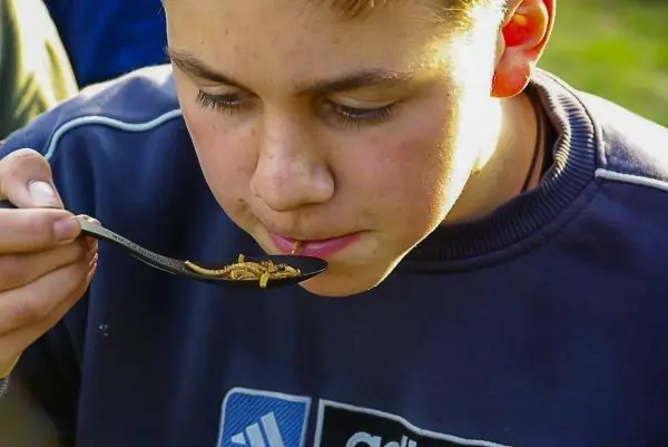 Junge hält Löffel mit Insekten vor den Mund