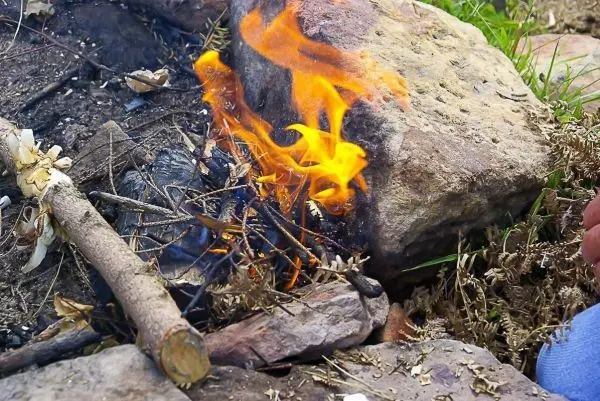 Kleine Flamme brennt auf Zunder zwischen Steinen
