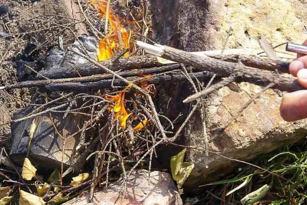Kleine Flamme brennt zwischen Ästen auf einem Holzstapel