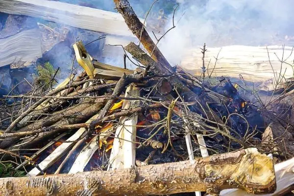 Kleine Flamme zwischen Holzscheiten und Ästen, Rauch steigt auf