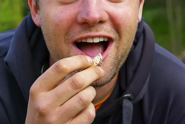 Mann hält eine Heuschrecke vor den Mund und lächelt