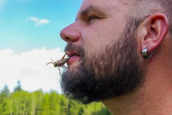 Mann mit Bart hält eine Heuschrecke zwischen den Lippen