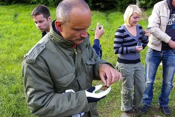 Mann untersucht Pflanzen auf einem Teller, während andere Teilnehmer aufmerksam zuschauen