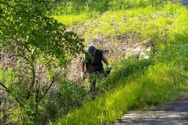 Person schneidet Gras am Wegesrand