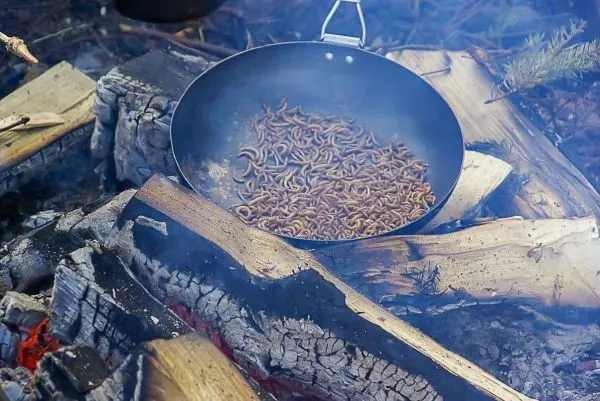 Pfanne mit Insekten auf glühenden Holzscheiten über Feuer