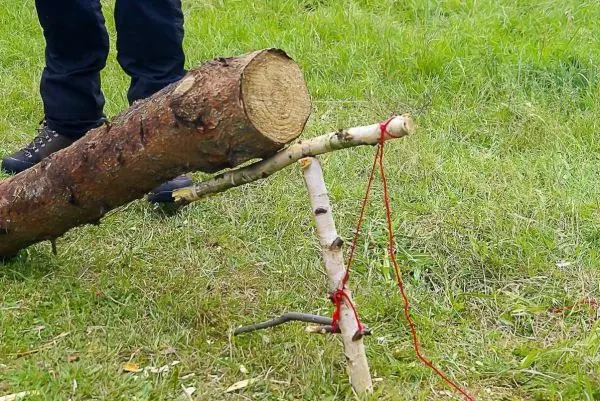 Schlagfalle (Figure-Four) mit Holzstücken und Schnur aufgebaut