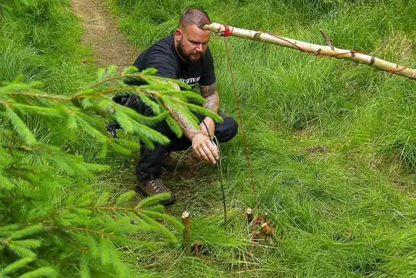 Schlagfalle (Figure-Four) wird mit einem Stock und Schnur konstruiert