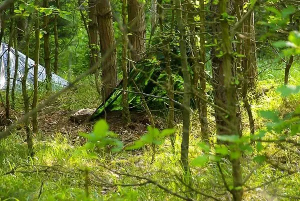Tarp-Notunterkunft zwischen Bäumen, umgeben von Gras und Sträuchern