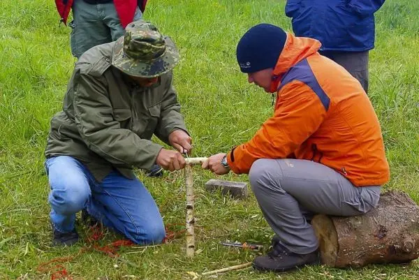 Zwei Personen bearbeiten einen Holzstock mit einem Messer auf einem Baumstumpf