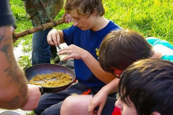 Ein Junge entnimmt Insekten aus einer Pfanne, während andere zuschauen