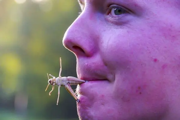 Grille sitzt auf der Lippe eines jungen Mannes