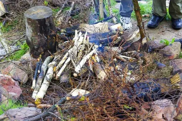 Kleine Flamme brennt zwischen Holzstücken und Ästen im Feuerplatz