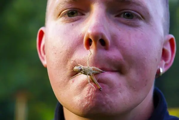 Männliche Person mit einer Heuschrecke im Mundbereich