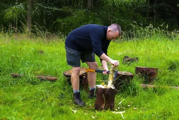 Mann bearbeitet Holzstück mit Axt auf einem Baumstumpf im Gras