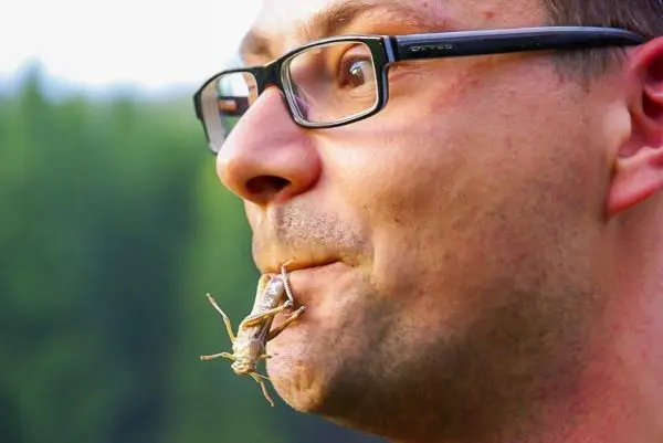 Mann hält eine Heuschrecke zwischen den Lippen