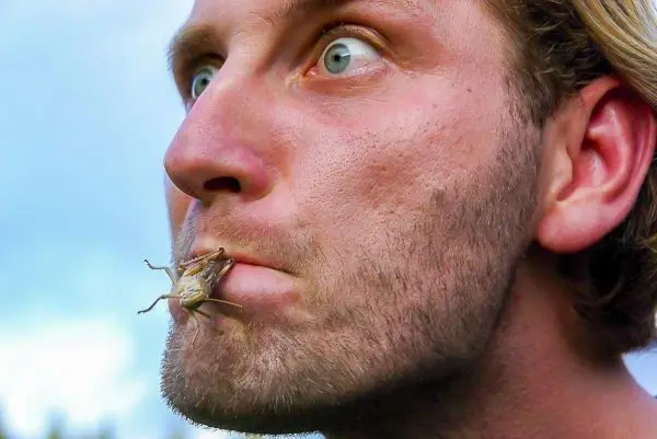 Mann mit einer Heuschrecke im Mund und überrascht aussehendem Gesicht