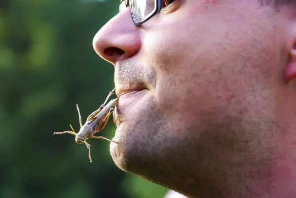 Person hält eine Heuschrecke an den Lippen