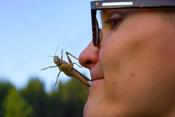 Person hat eine Heuschrecke auf der Wange sitzen